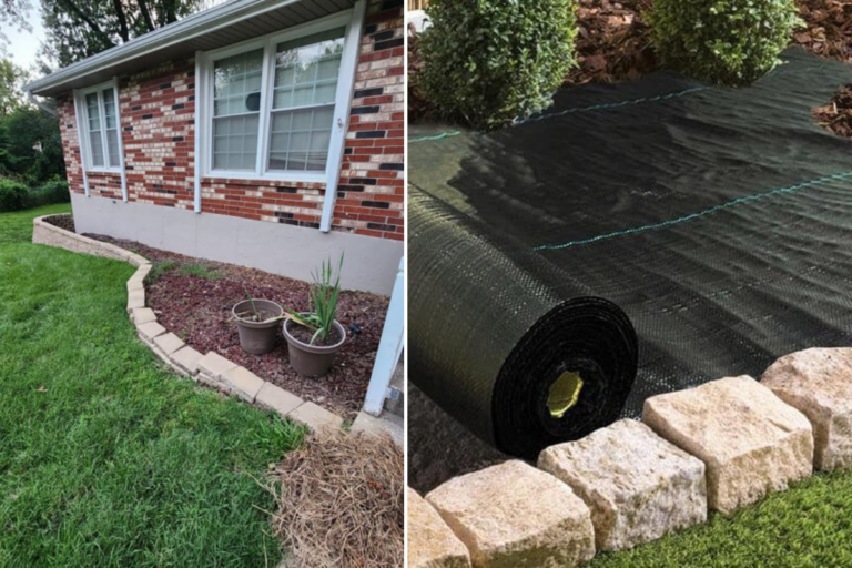 Why Your “Low-Maintenance” Yard Is Actually Costing a Fortune